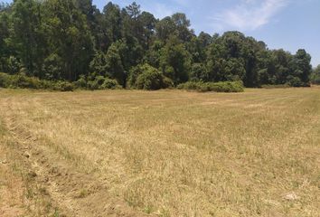 Lote de Terreno en  Carretera A San Mateo Acatitlán Km 3 5, Avándaro, Valle De Bravo, México, 51200, Mex