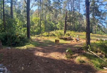 Lote de Terreno en  Valle De Bravo, México, Mex