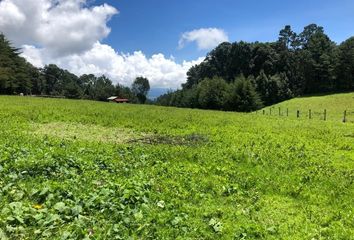 Lote de Terreno en  51305, Temascaltepec, México, Mex