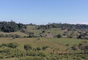 Rancho en  Calle Dorado, Lomas De Plata, Papantla, Veracruz De Ignacio De La Llave, 93429, Mex