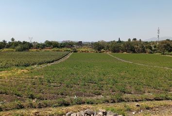 Lote de Terreno en  Miguel Hidalgo, Morelos