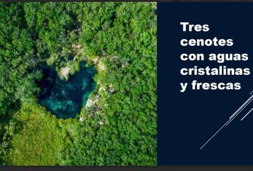 Lote de Terreno en  Alfredo V Bonfil, Benito Juárez, Benito Juárez, Quintana Roo