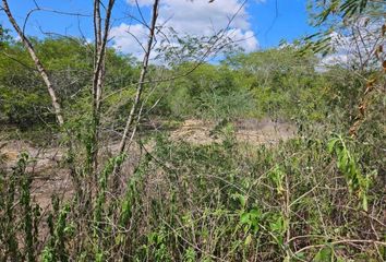 Lote de Terreno en  97346, Conkal, Yucatán, Mex