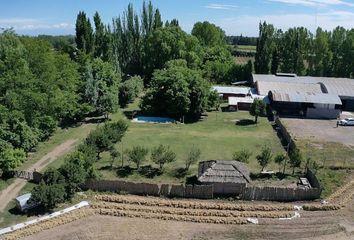 Terrenos en  San Carlos, Mendoza