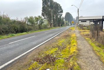 Parcela en  San Clemente, Talca