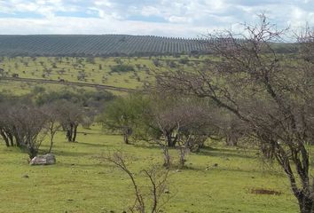 Parcela en  Maule, Talca