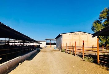 Terreno en venta en Pastor Rouaix, Gómez Palacio, Durango