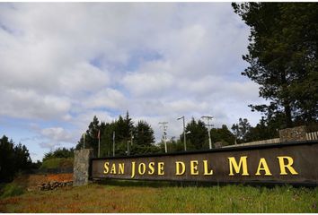 Parcela en  Tomé, Concepción