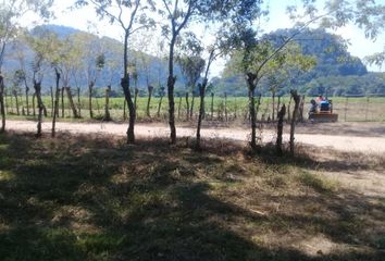 Rancho en  Barrio Alto, Tula De Allende