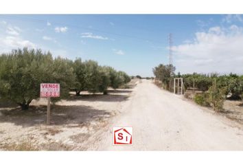 Terreno en  Sangonera La Seca, Murcia Provincia