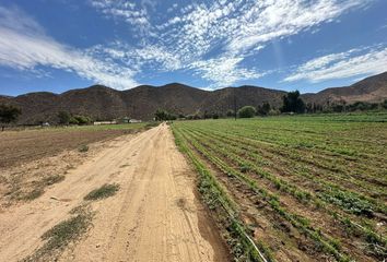 Lote de Terreno en  Calle San Quintín 94-200, Nueva Ensenada, Ensenada, Baja California, 22880, Mex