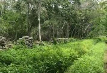 Lote de Terreno en  Umán, Yucatán, Mex