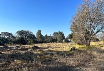 Lote de Terreno en  Calle El Llano, Primera Sección Atenco, Cuaxomulco, Tlaxcala, 90660, Mex