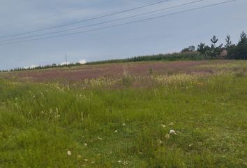 Lote de Terreno en  Carretera Colegio De Policia Entronque Km. 12.7, Tabernillas-santa Catarina, Almoloya De Juárez, México, 50920, Mex