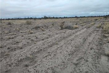 Quinta/Finca en  Junín, Mendoza