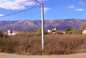 Terrenos en  Merlo, San Luis