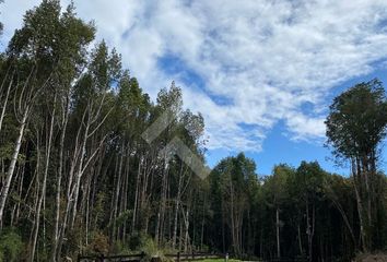 Parcela en  Puerto Varas, Llanquihue