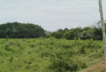 Lote de Terreno en  Tamiahua, Veracruz