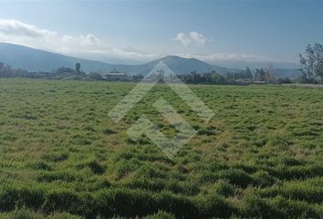 Parcela en  Colina, Chacabuco