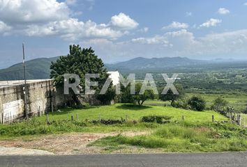 Lote de Terreno en  Pueblo Santo Domingo Ocotitlán, Tepoztlán