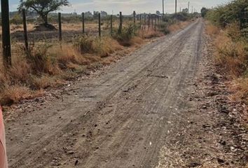 Parcela en  Ninhue, Ñuble (región)