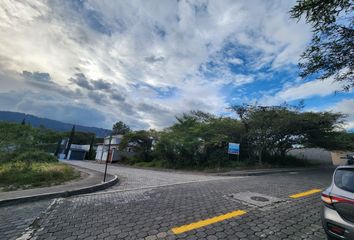 Terreno Comercial en  Cumbayá, Quito