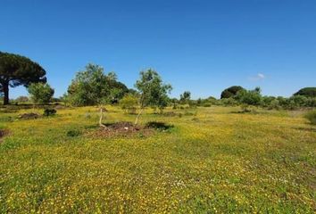 Terreno en  Alcala De Los Gazules, Cádiz Provincia