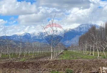 Parcela en  Paine, Maipo