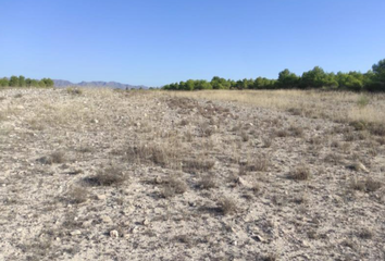 Terreno en  Cieza, Murcia Provincia