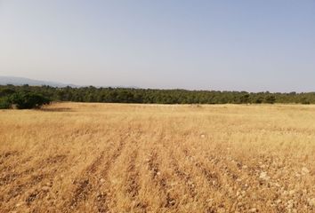 Terreno en  La Parroquia, Murcia Provincia