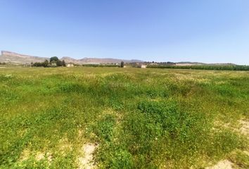 Terreno en  Jumilla, Murcia Provincia