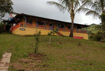 Villa-Quinta en  Sendo, Dagua