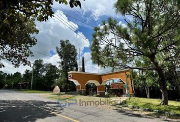 Lote de Terreno en  Carretera Club Deportivo Universidad De Guadalajara, El Arenal, Jalisco, 45368, Mex