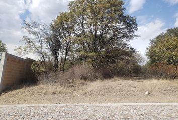 Lote de Terreno en  Amozoc Centro, Amozoc