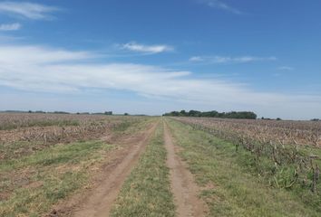 Terrenos en  Firmat, Santa Fe