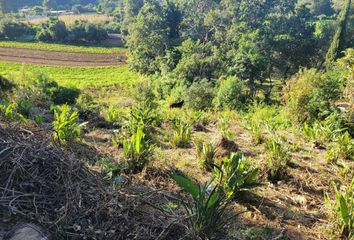 Lote de Terreno en  Carretera Toluca-valle De Bravo, San Gaspar, Valle De Bravo, México, 51208, Mex