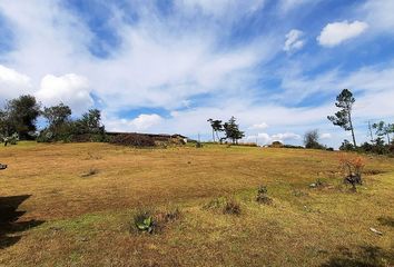 Rancho en  Carretera Colonia Doctor Gustavo Baz-san Luis El Alto, Villa Victoria, México, Mex