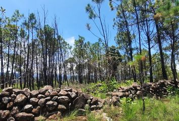 Lote de Terreno en  51304, Temascaltepec, México, Mex