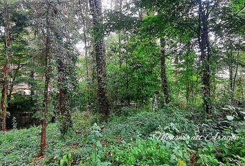 Lote de Terreno en  Valle De Bravo, México, Mex