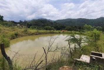 Lote de Terreno en  51304, Temascaltepec, México, Mex