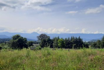 Lote de Terreno en  San Gabriel Ixtla, Valle De Bravo, México, Mex