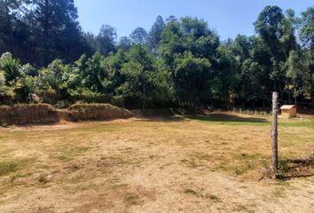 Lote de Terreno en  51268, Amanalco, México, Mex