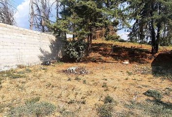 Lote de Terreno en  51208, El Arco, México, Mex