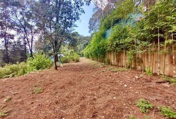 Lote de Terreno en  Carretera A San Mateo Acatitlán Km 3 5, Avándaro, Valle De Bravo, México, 51200, Mex