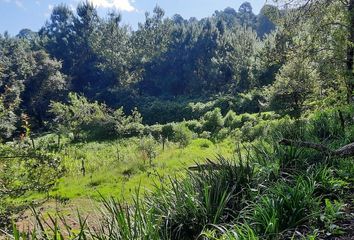 Lote de Terreno en  51270, Amanalco, México, Mex