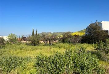 Parcela en  Colina, Chacabuco