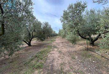 Terreno en  La Pobla De Mafumet, Tarragona Provincia