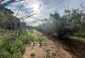 Terreno en  El Morell, Tarragona Provincia