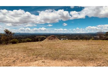 Lote de Terreno en  Rionegro Antioquía