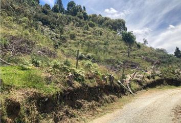 Lote de Terreno en  Envigado, Antioquia